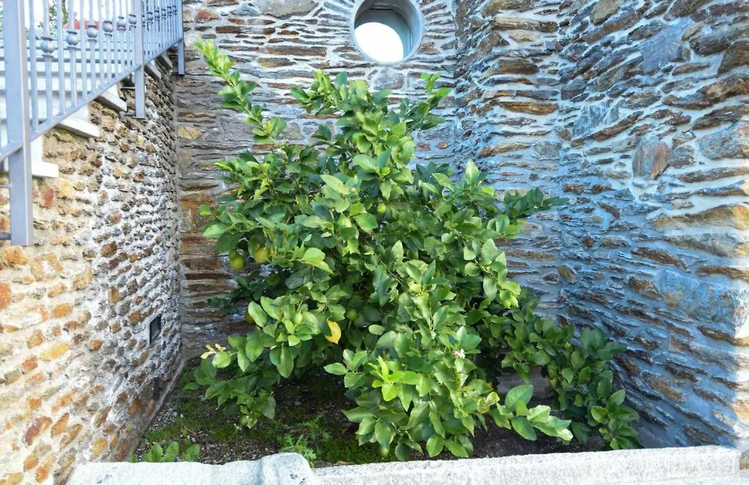 Agriturismo Il Colle-1